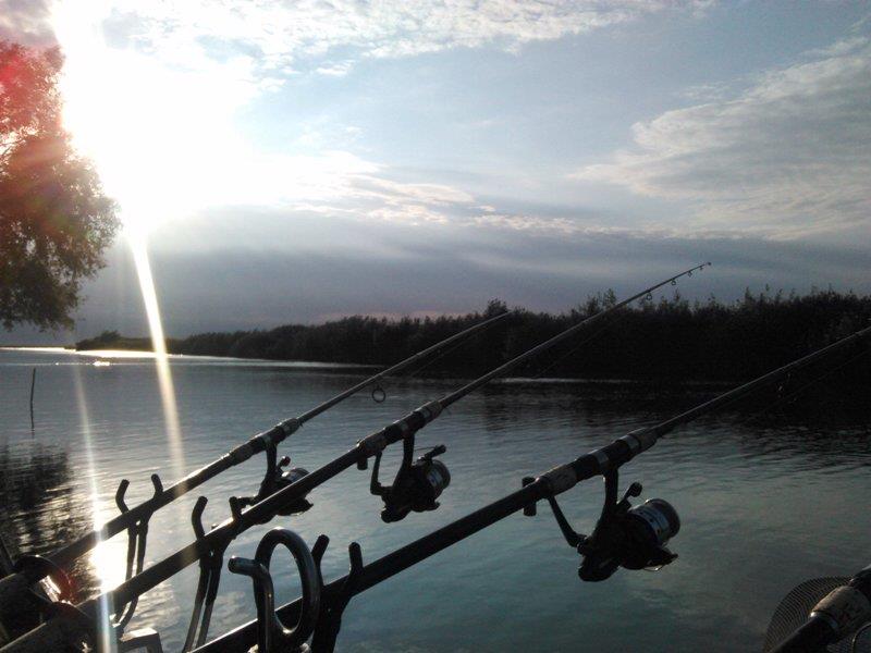 Rosu - Septembrie  2015 - img20150928081625.jpg